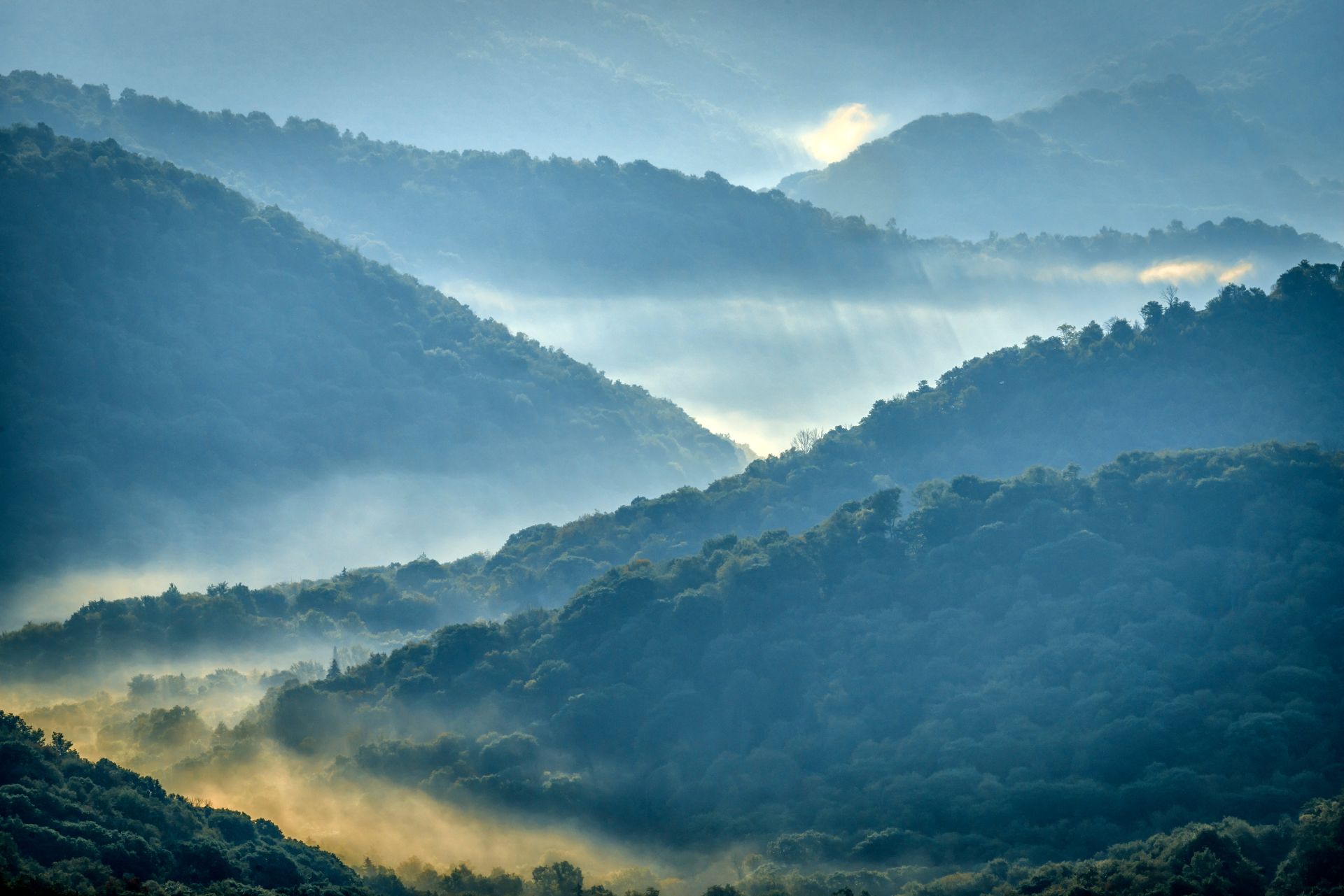 Morning mist over forested mountain ridges